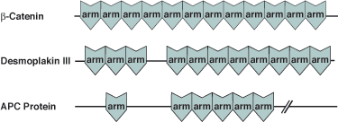 Other: ARM Domain