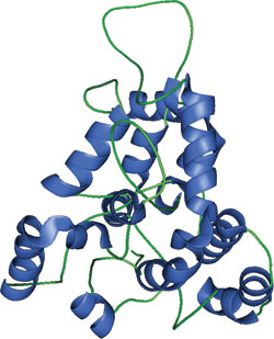 Phospholipid Binding: Beach Domain