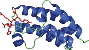 Chromatin Remodeling: BROMO Domain