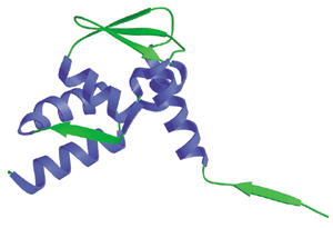 Chromatin Remodeling: BTB/POZ Domain