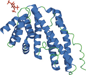 Phospholipid Binding: CALM Domain