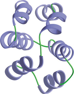 Apoptosis: CARD Domain