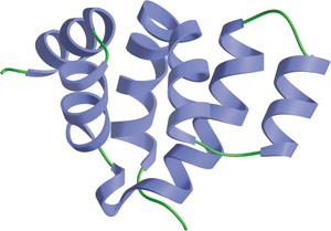 Apoptosis: Death Domain