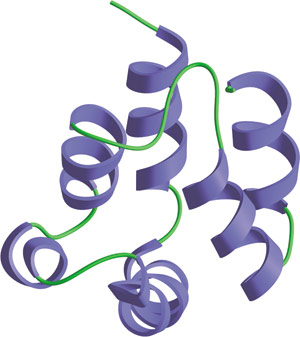 Apoptosis: DEDドメイン