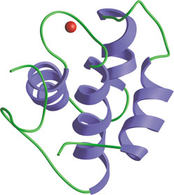 Vesicle Trafficking: EH Domain