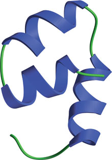 Protein Degradation: F-Box Domain