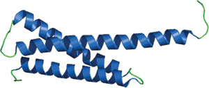 Ubiquitin Binding: GAT Domain