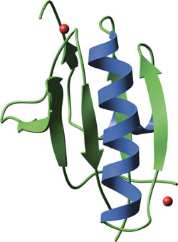 Cytoskeletal Modulation: GEL Domain