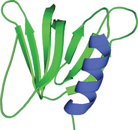 Phospholipid Binding: GRAM Domain
