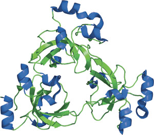 Methyl-Lysine Binding: Malignant Brain Tumor Repeat