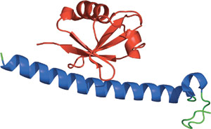 Ubiquitin Binding: MIU Domain