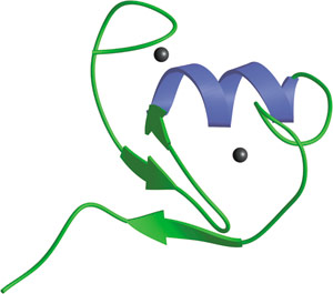 Protein Degradation: RING Domain