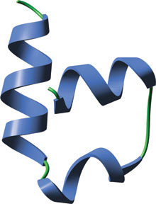 Protein Degradation: SOCS Domain