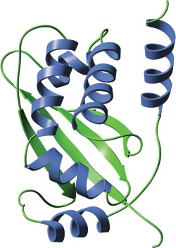 Apoptosis: TRAFドメイン