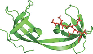 Chromatin Remodeling: TUDOR Domain