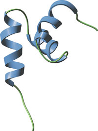 Protein Degradation: UBA Domain