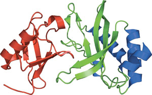 Ubiquitin Binding: UEV Domain