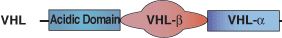 Other: VHL Domain