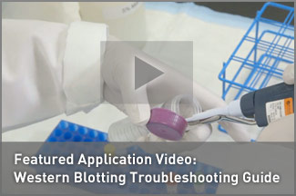 Featured Video: Western Blotting Troubleshooting Guide