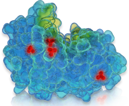 AKT Molecular Model