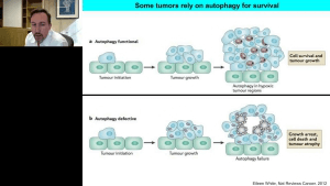 Advances in AMPK and Autophagy Signaling