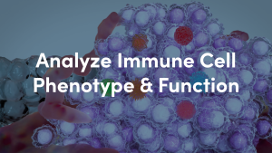 Visualize immune cell identity, function, and spatial context with CST’s validated IHC antibodies. Maximize your research impact with precision tools.