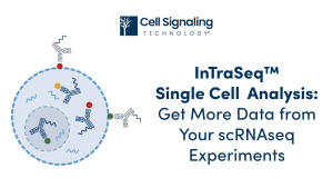IntraSeq™ Single Cell Analysis: Get More Data from Your scRNAseq