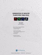 Generation of Induced Pluripotent Stem Cells