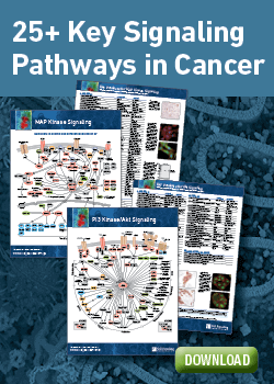 がんのシグナル伝達経路ポスターのダウンロード